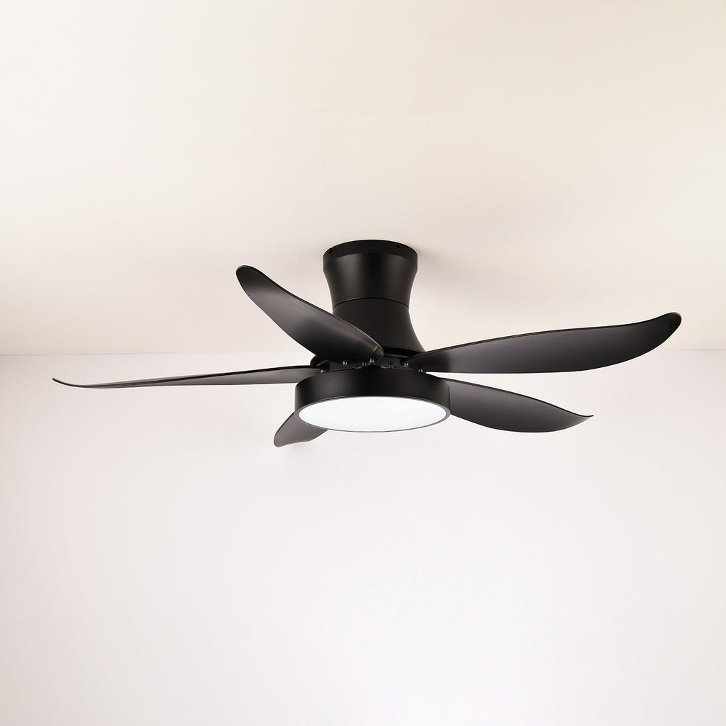 Aveline Modern Black Ceiling Fan Light