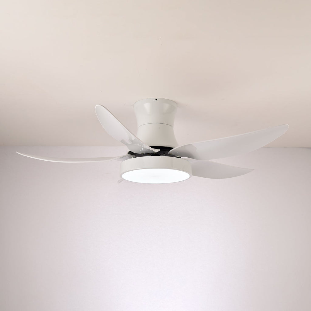 Aveline Modern Black Ceiling Fan Light