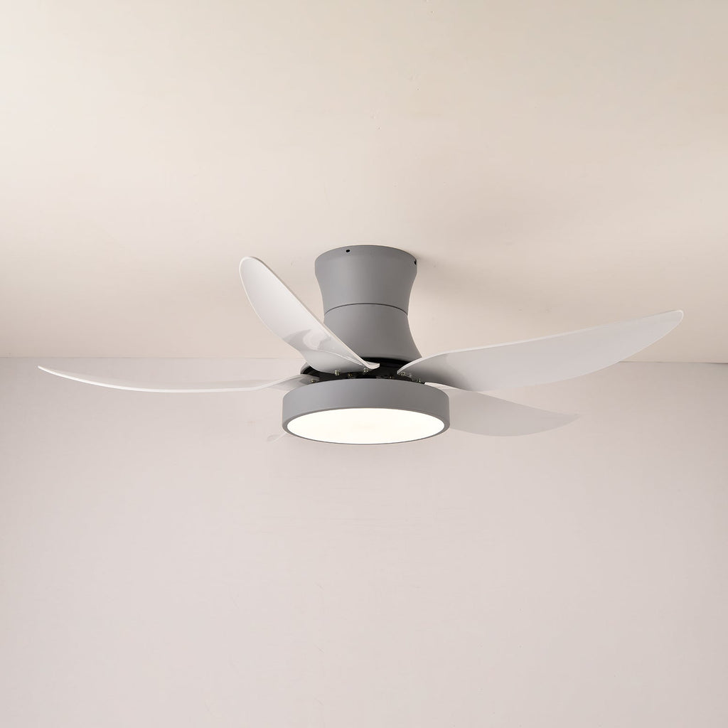 Aveline Modern Black Ceiling Fan Light