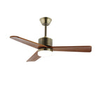 Elara Minimalist Silver Wood Ceiling Fan Light