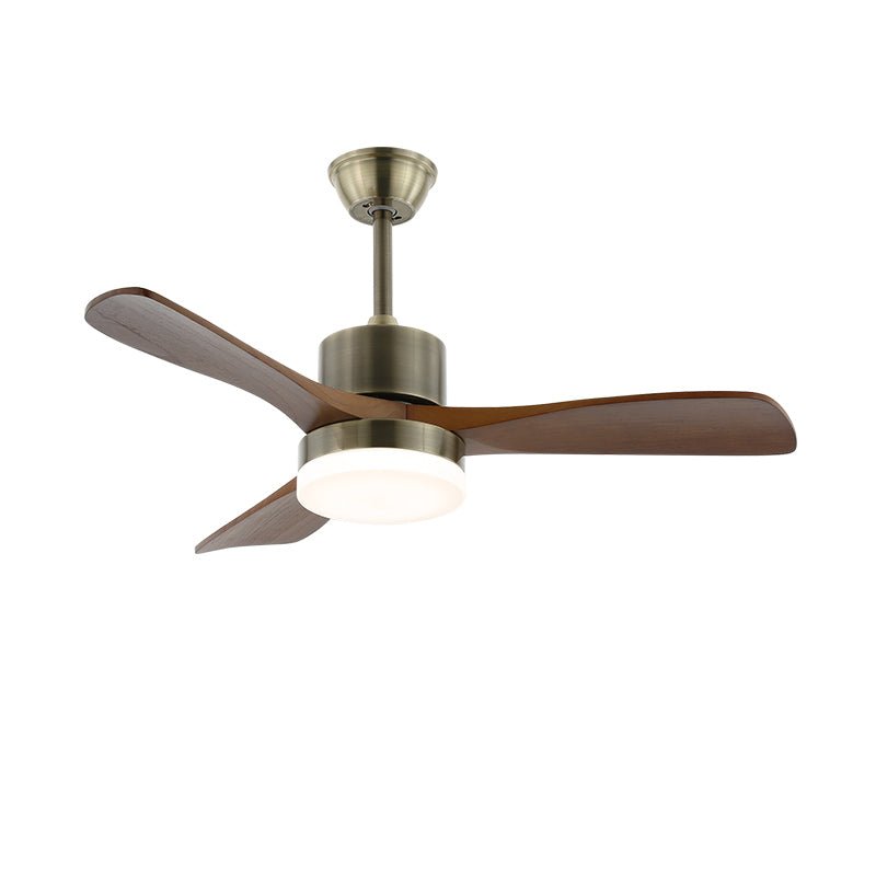 Elara Minimalist Silver Wood Ceiling Fan Light