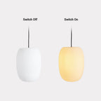Ray Retro Lantern Pendant Light Outdoor Waterproof