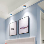 Valentina Modern Cylindrical /Acrylic Flush Mount Ceiling Light Hallway