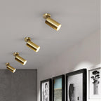 Arisha Moderno Cylinder Spotlight Background Flush Mount Ceiling Light