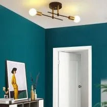 Valentina Flush Mount Ceiling Light Globe Modern, /Glass, Balck, Dining Room