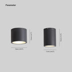 Ray Modern Cylindrical Flush Mount Ceiling Light Glass