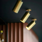 Arisha Moderno Cylinder Spotlight Background Flush Mount Ceiling Light