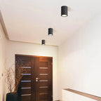 Ray Modern Cylindrical Flush Mount Ceiling Light Glass