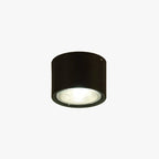 Muto Modern Round Flush Mount Ceiling Light, Wood/Black, Living Room