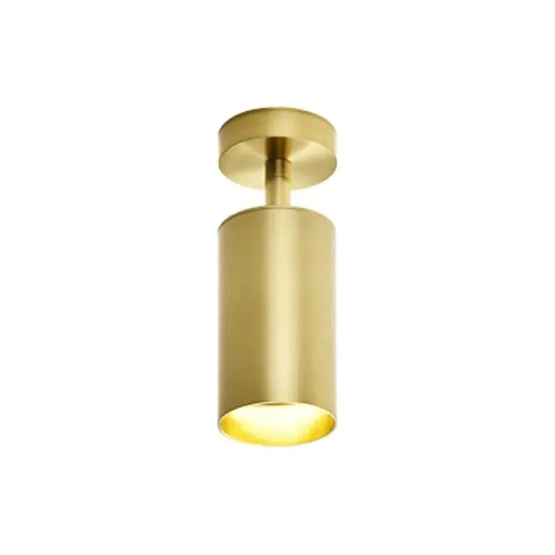 Arisha Moderno Cylinder Spotlight Background Flush Mount Ceiling Light