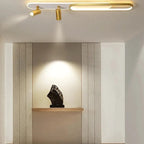 Aim Modern Ceiling Light Spotlight