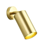 Arisha Moderno Cylinder Spotlight Background Flush Mount Ceiling Light