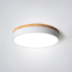 Valentina Nordic LED Round Flush Mount Ceiling Light